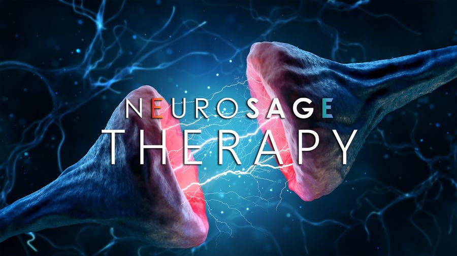 Neurosage wallpaper, 2560 × 1440